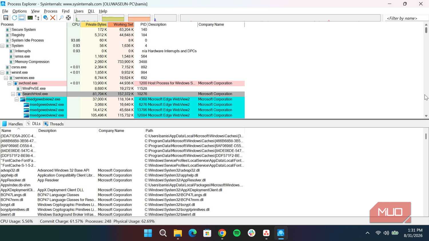 Process explorer lower pane