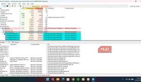 Process explorer lower pane
