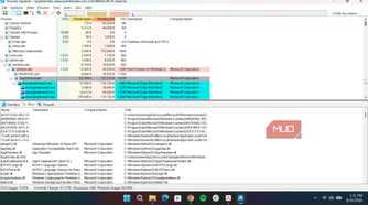 Process explorer lower pane