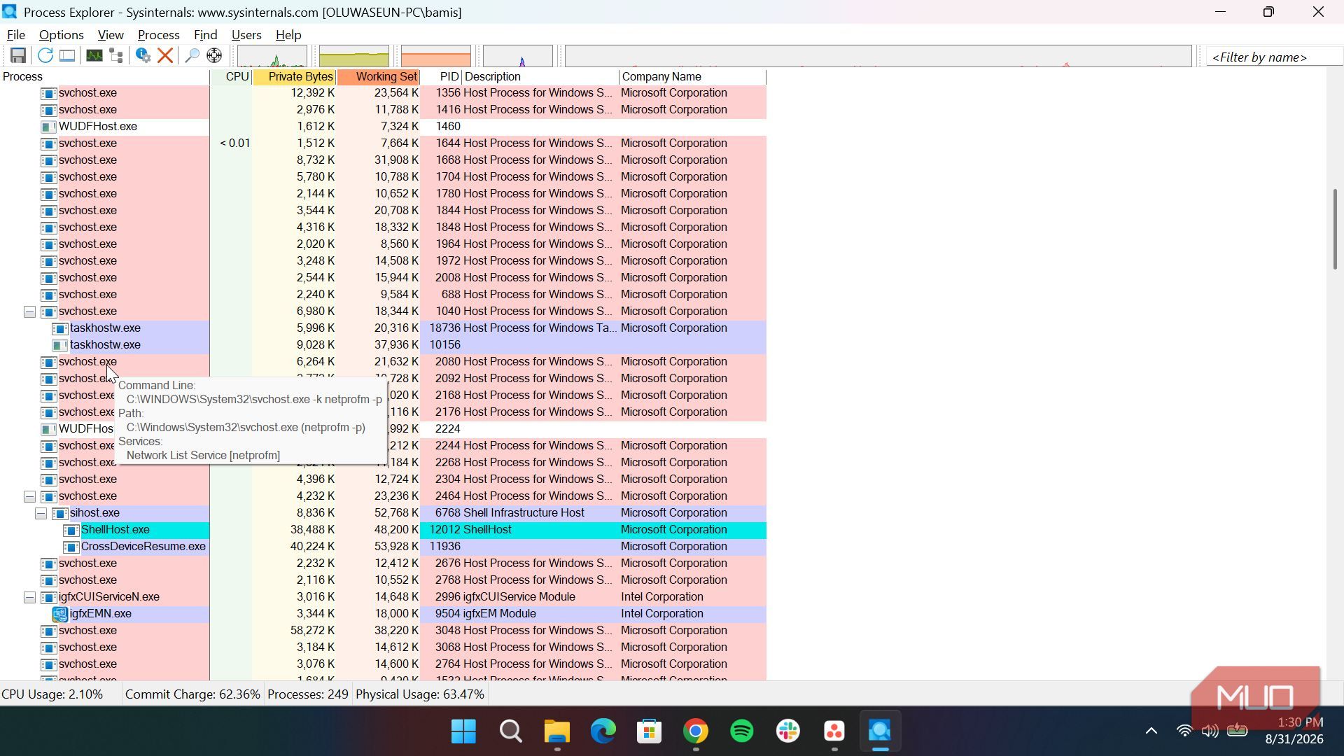 Process Explorer showing additional information of a process