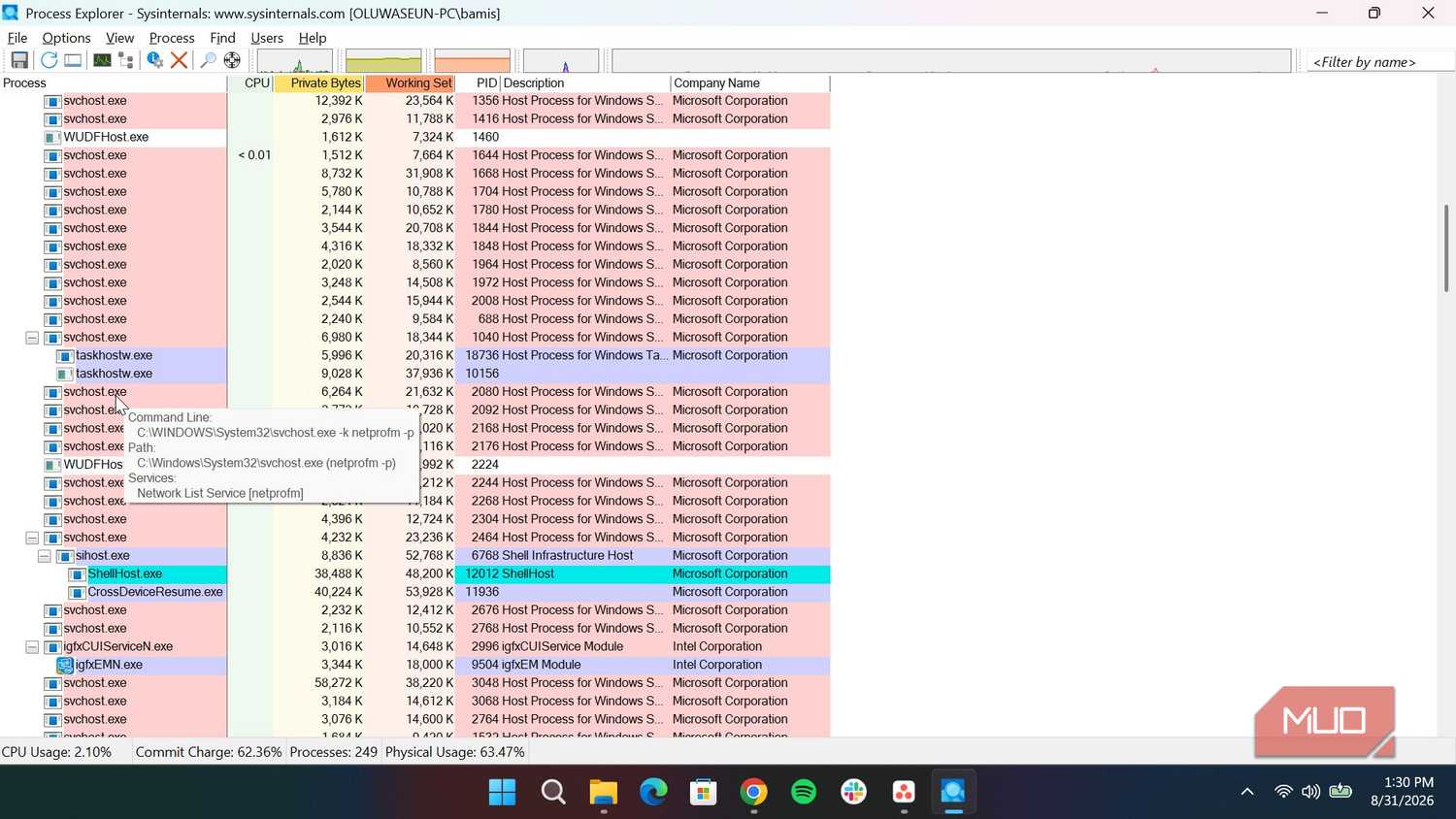 Process Explorer showing additional information of a process