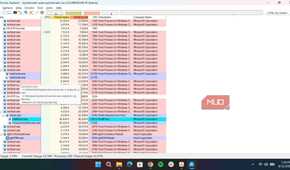 Process Explorer showing additional information of a process