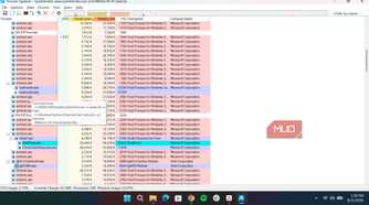 Process Explorer showing additional information of a process