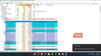 Process Explorer