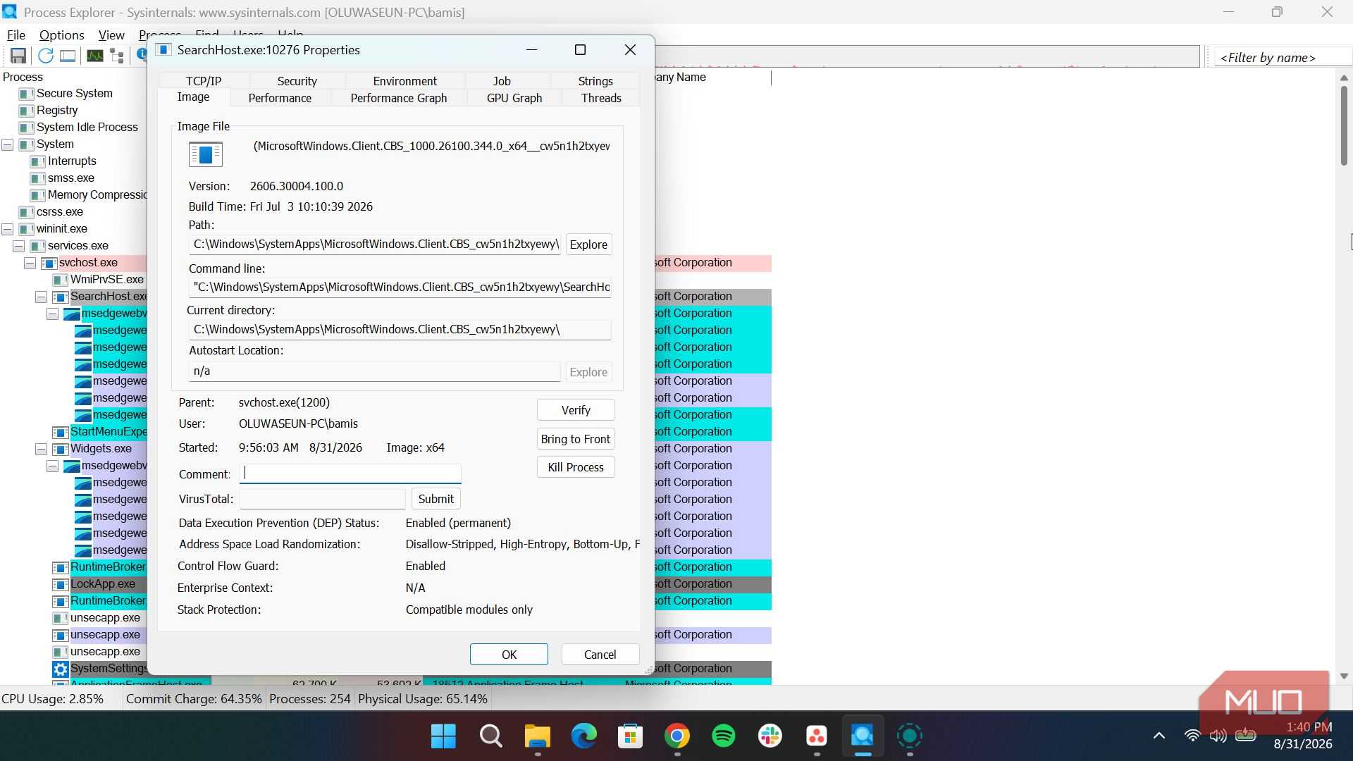 properties page of a process on Process Explorer