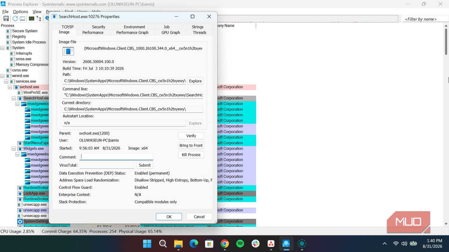 properties page of a process on Process Explorer