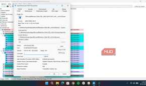 properties page of a process on Process Explorer