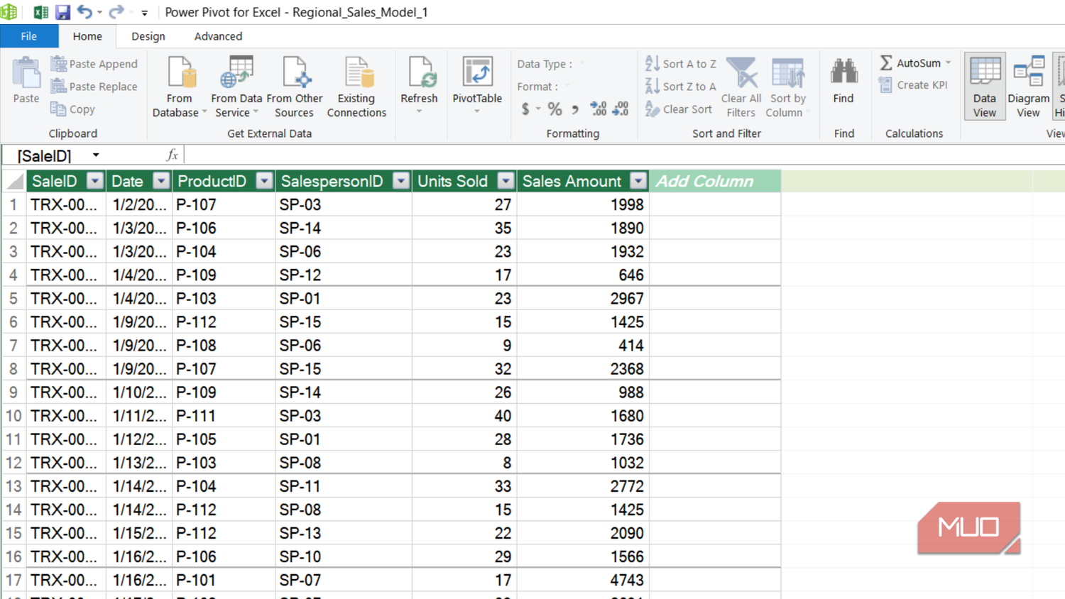 Regional sales power pivot model in Excel.