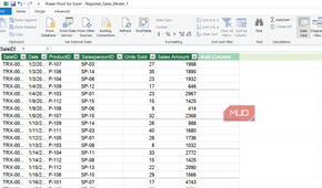 Regional sales power pivot model in Excel.