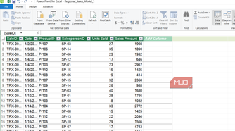 Regional sales power pivot model in Excel.