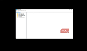 registry editor