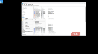 Registry Editor
