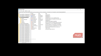 Registry Editor MSI Mode