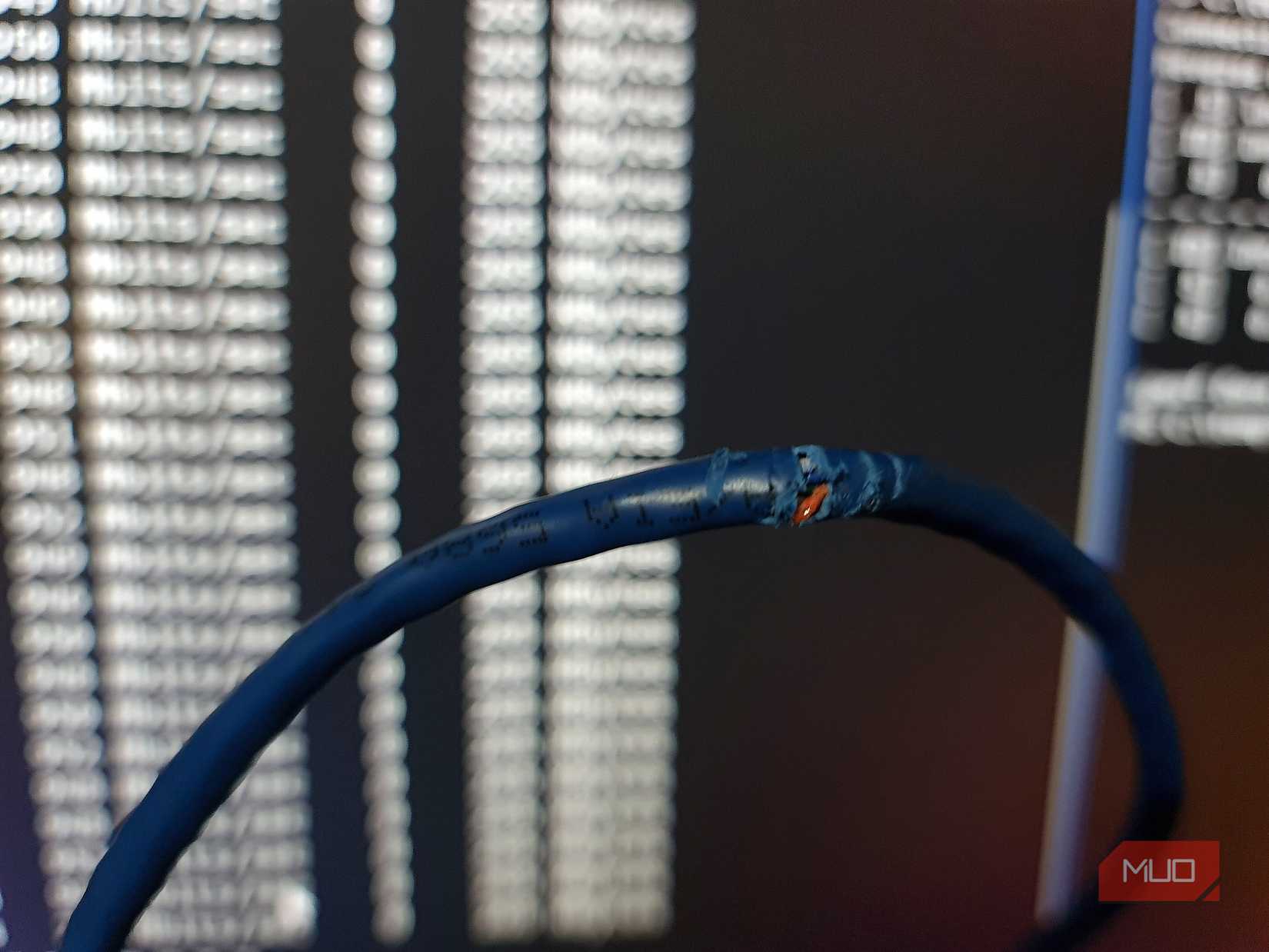 Cat5e ethernet cable chewed through by a rodent with exposed conductor