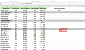 Rows corresponding to Sarah Johnson highlighted in Excel.