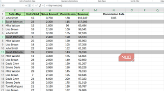 Rows corresponding to Sarah Johnson highlighted in Excel.