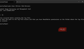 Running DISM with sudo