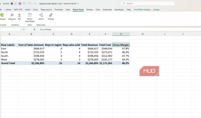 Sales table in Excel with gross margin.