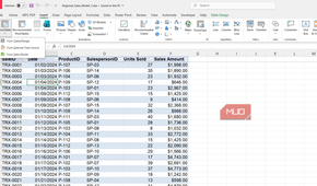 Sales table in Excel with salesperson IDs.