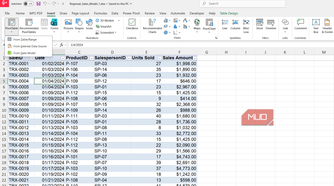 Sales table in Excel with salesperson IDs.