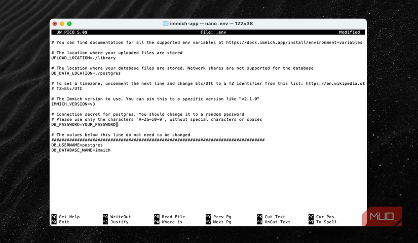 Docker builds and starts the services.