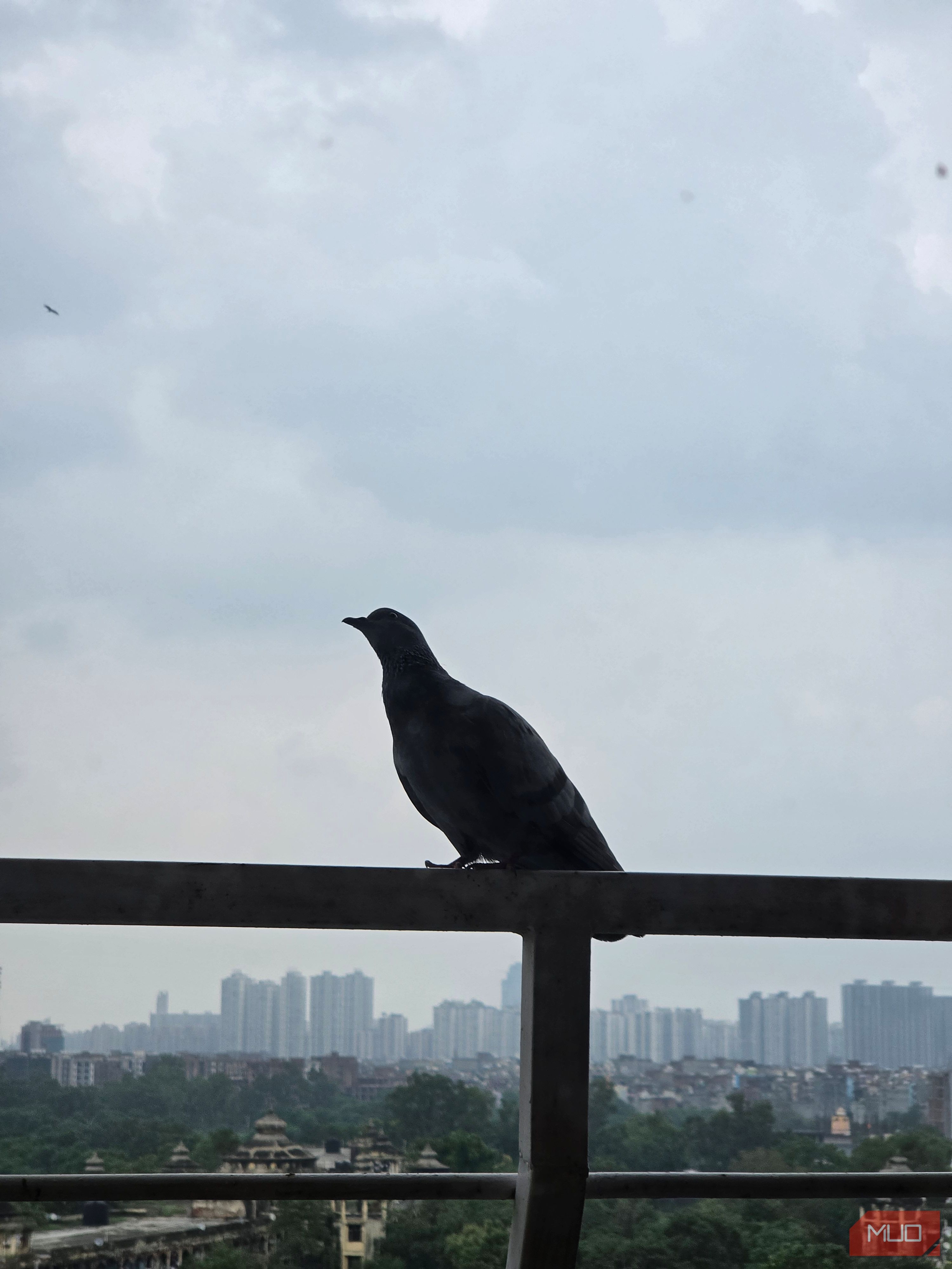 Shot a 3x image on Samsung Galaxy Z Fold 8 Ultra-10