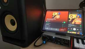 Snapcast connected to an active speaker via a DAC.