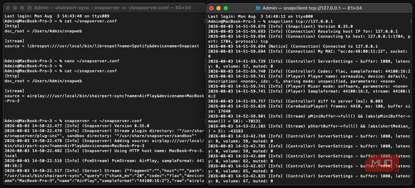 Snapclient and Snapserver in their respective Terminal windows. 
