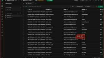 Supabase Table Editor main view