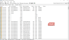 SystemInformer Network view