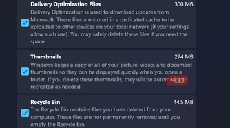 Temporary files in Windows cleanup tools showing downloads, temporary files, temporary internet files, recycle bin, and delivery optimization files.