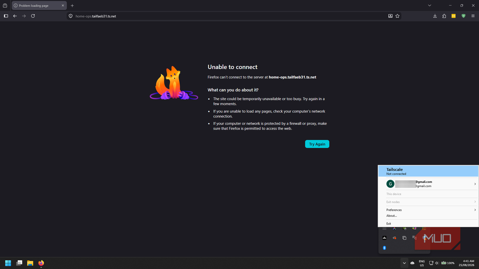Tailscale Serve URL error when accessing when Tailscale is disconnected