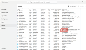 Task Manager details view