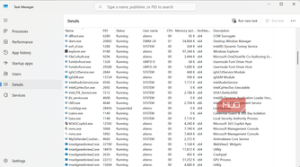 Task Manager details view
