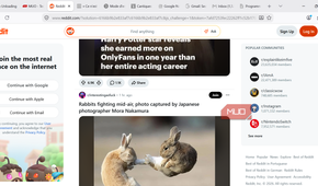 Unloaded tabs on Firefox