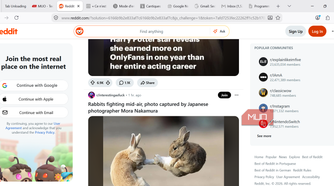 Unloaded tabs on Firefox