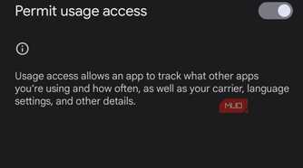 superfreezz seeking Android's app usage access.