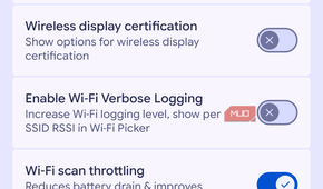 Use Developer options toggle