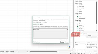 Value field settings for reps in the region in Excel.