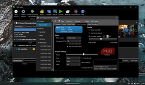 The Video Encoding tab separates codec, frame rate, quality, and encoder-speed controls.