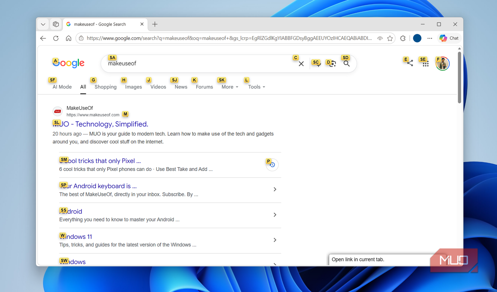 Vinium browser extension on Google search page