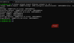 listing Docker container network subnets