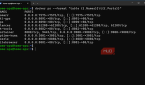 Server's Docker containers and published ports before changes