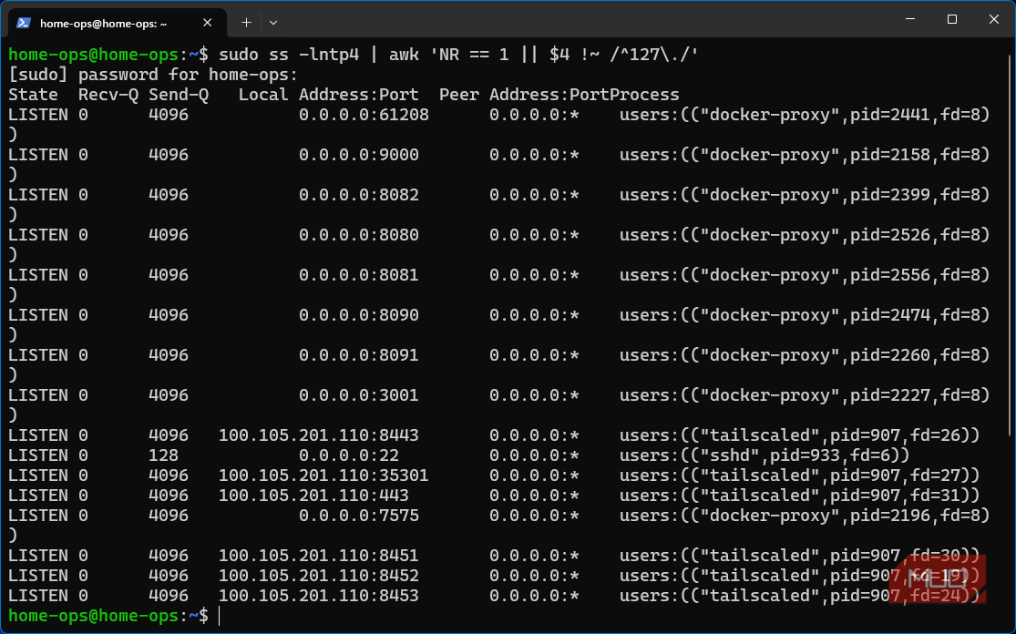 Listening ports of Docker container services with PID