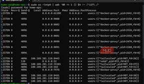 Listening ports of Docker container services with PID