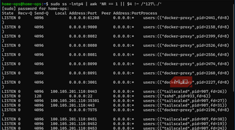 Listening ports of Docker container services with PID