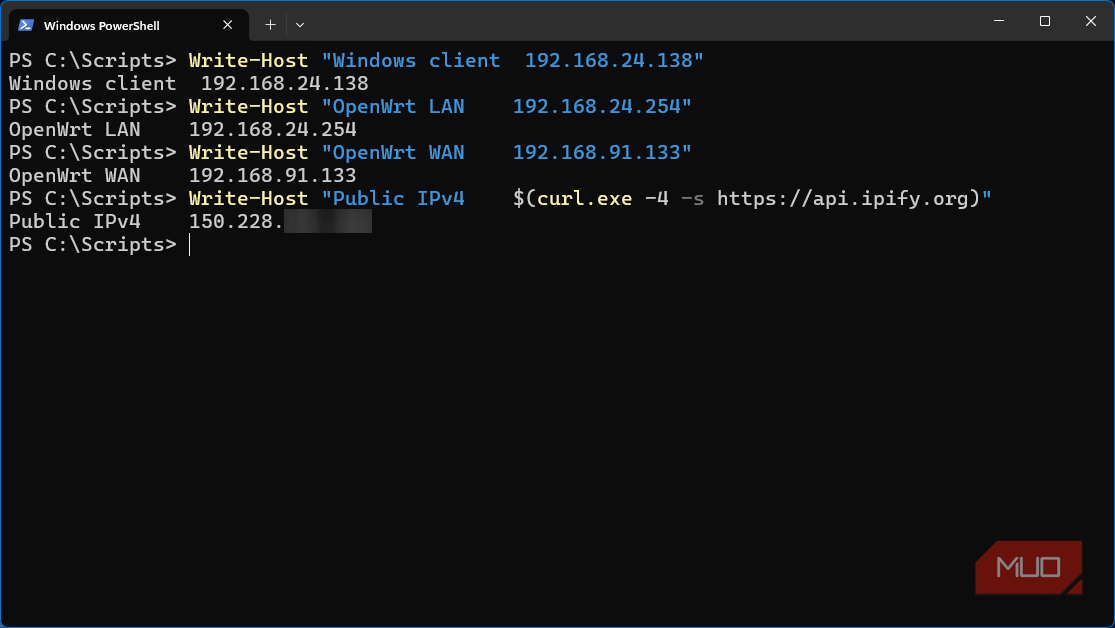Windows 11 VM lab client showing four IP addresses associated with NAT