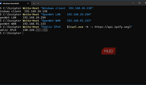 Windows 11 VM lab client showing four IP addresses associated with NAT