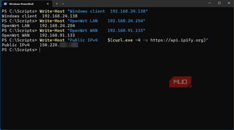 Windows 11 VM lab client showing four IP addresses associated with NAT
