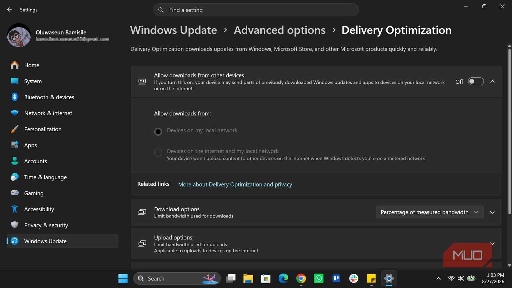 Windows Delivery Optimization in Windows setting